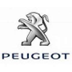 Supape Blow-Off Diesel Peugeot